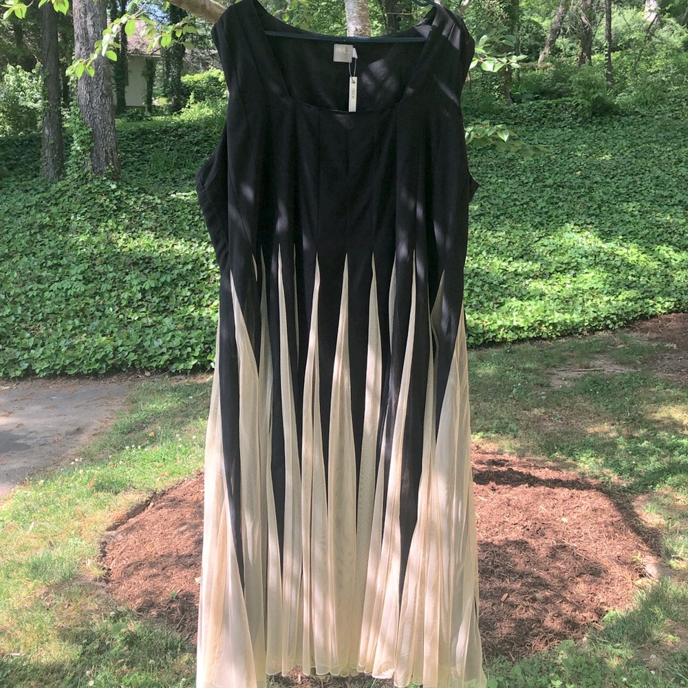 Black Dress with Gold Tule